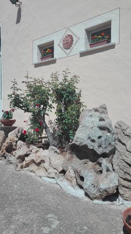 Agriturismo Monte Pino Telti Exterior foto